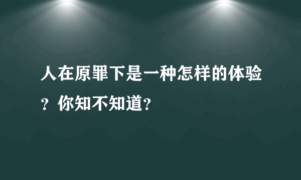 人在原罪下是一种怎样的体验？你知不知道？