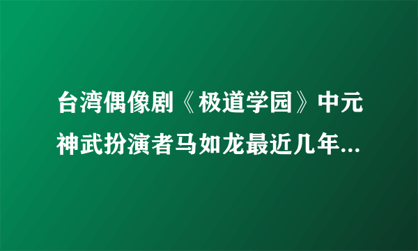 台湾偶像剧《极道学园》中元神武扮演者马如龙最近几年来的情况