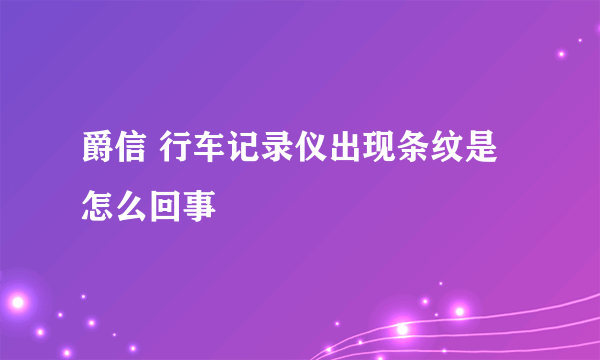 爵信 行车记录仪出现条纹是怎么回事