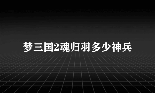 梦三国2魂归羽多少神兵