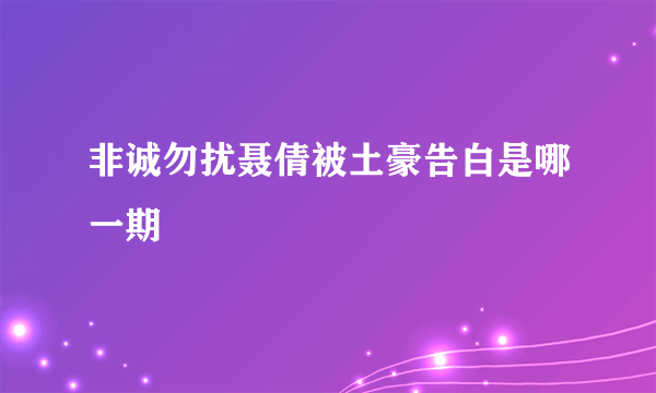 非诚勿扰聂倩被土豪告白是哪一期