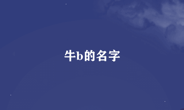 牛b的名字