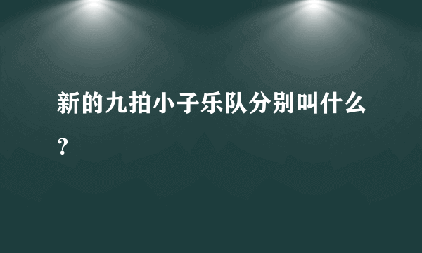 新的九拍小子乐队分别叫什么？