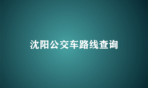 沈阳公交车路线查询