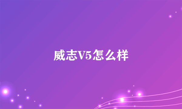 威志V5怎么样