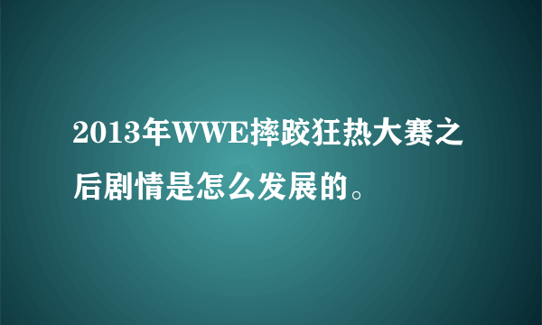 2013年WWE摔跤狂热大赛之后剧情是怎么发展的。