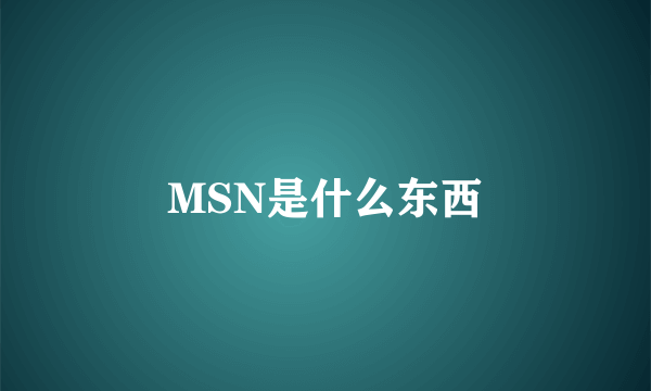 MSN是什么东西