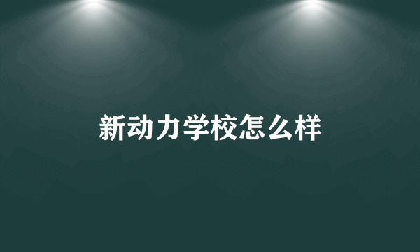 新动力学校怎么样