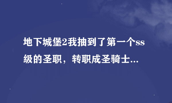 地下城堡2我抽到了第一个ss级的圣职，转职成圣骑士还是神官？