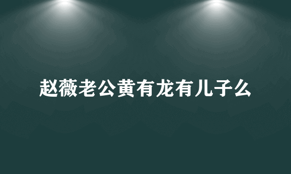 赵薇老公黄有龙有儿子么