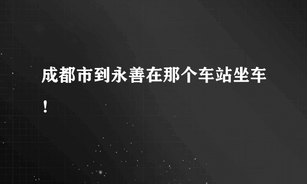 成都市到永善在那个车站坐车！