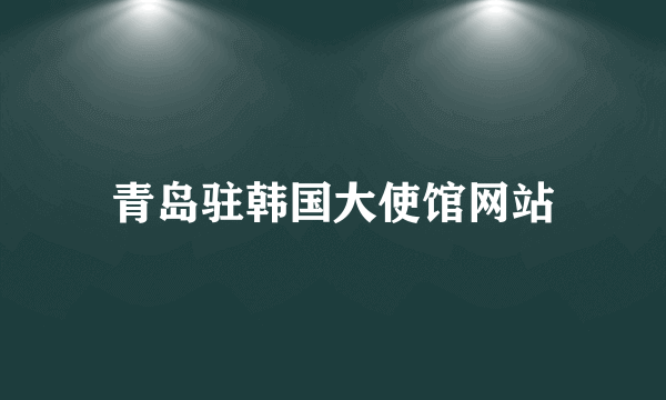 青岛驻韩国大使馆网站