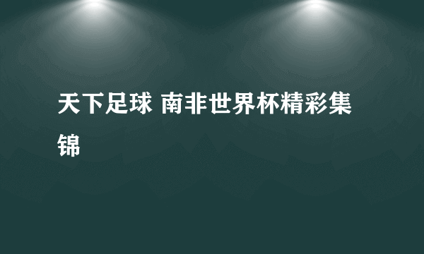 天下足球 南非世界杯精彩集锦