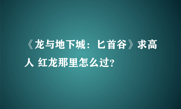 《龙与地下城：匕首谷》求高人 红龙那里怎么过？