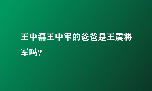 王中磊王中军的爸爸是王震将军吗？