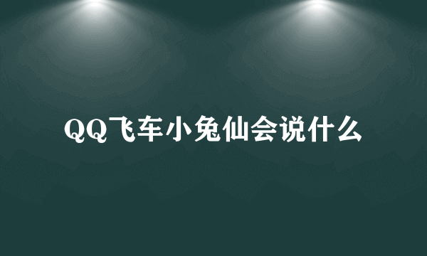 QQ飞车小兔仙会说什么