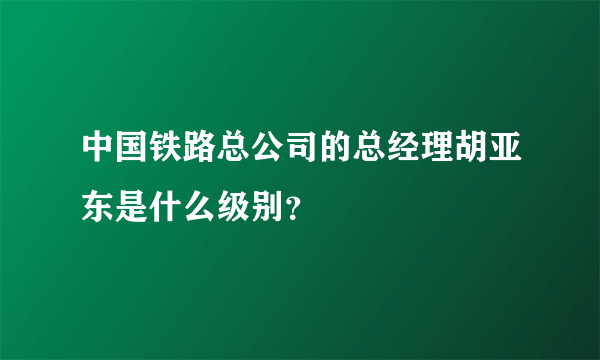 中国铁路总公司的总经理胡亚东是什么级别？