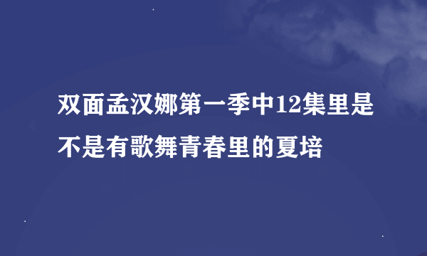 双面孟汉娜第一季中12集里是不是有歌舞青春里的夏培