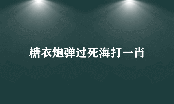 糖衣炮弹过死海打一肖