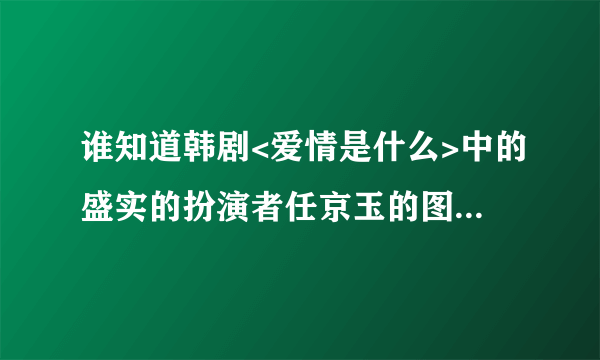 谁知道韩剧<爱情是什么>中的盛实的扮演者任京玉的图片和简介?