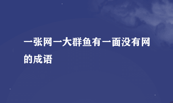 一张网一大群鱼有一面没有网的成语