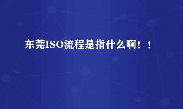 东莞ISO流程是指什么啊！！