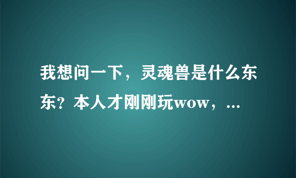 我想问一下，灵魂兽是什么东东？本人才刚刚玩wow，请大家指教指教