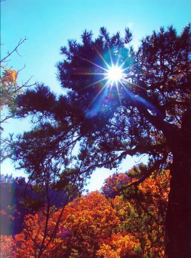 汝阳西泰山旅游风景区的介绍