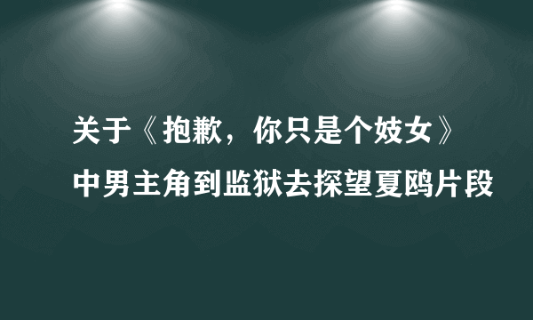 关于《抱歉，你只是个妓女》中男主角到监狱去探望夏鸥片段