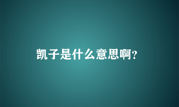 凯子是什么意思啊？