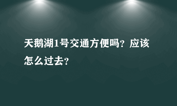 天鹅湖1号交通方便吗？应该怎么过去？