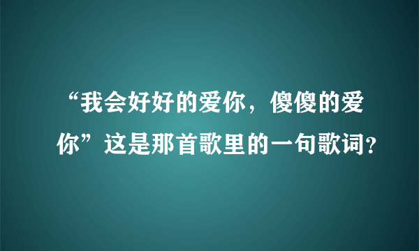 “我会好好的爱你，傻傻的爱你”这是那首歌里的一句歌词？