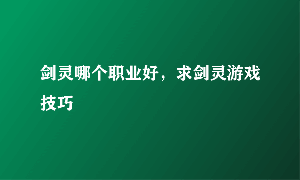 剑灵哪个职业好，求剑灵游戏技巧