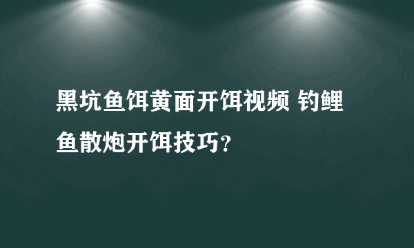 黑坑鱼饵黄面开饵视频 钓鲤鱼散炮开饵技巧？