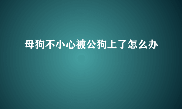 母狗不小心被公狗上了怎么办