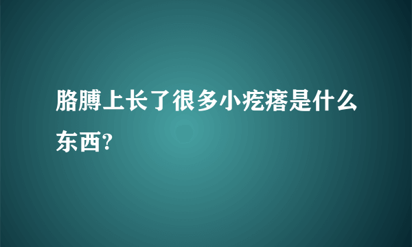 胳膊上长了很多小疙瘩是什么东西?