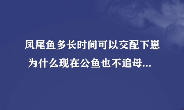 凤尾鱼多长时间可以交配下崽 为什么现在公鱼也不追母鱼了 我把它放在跟玛丽鱼珍珠球鱼放在一个崩的鱼