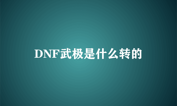 DNF武极是什么转的