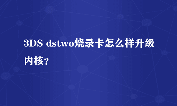 3DS dstwo烧录卡怎么样升级内核？