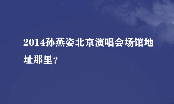 2014孙燕姿北京演唱会场馆地址那里？