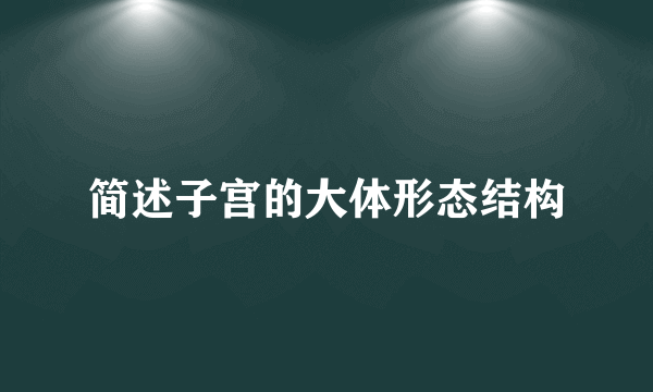 简述子宫的大体形态结构