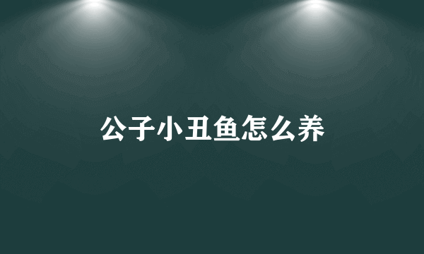 公子小丑鱼怎么养