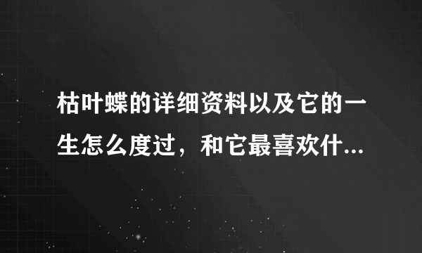 枯叶蝶的详细资料以及它的一生怎么度过，和它最喜欢什么，最害怕什么？