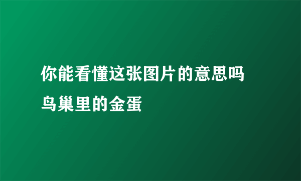 你能看懂这张图片的意思吗 鸟巢里的金蛋