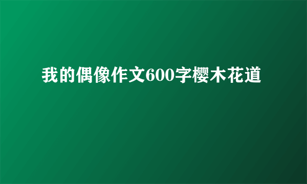 我的偶像作文600字樱木花道