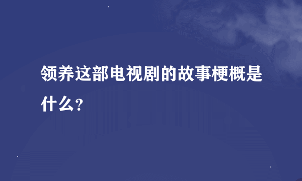 领养这部电视剧的故事梗概是什么？