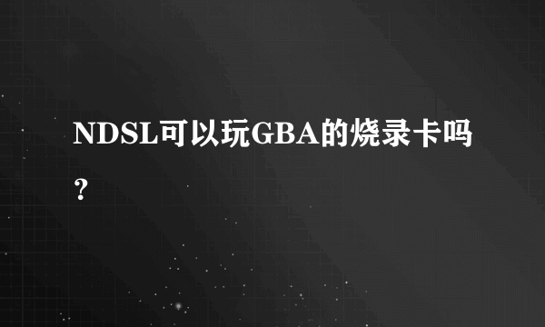 NDSL可以玩GBA的烧录卡吗？