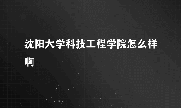 沈阳大学科技工程学院怎么样啊