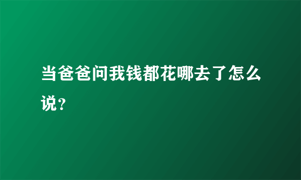 当爸爸问我钱都花哪去了怎么说？