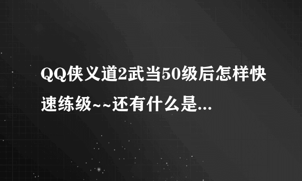 QQ侠义道2武当50级后怎样快速练级~~还有什么是跑环任务？